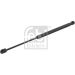 FEBI BILSTEIN 29441 Gasfeder, Motorhaube