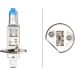 Glühlampe, Hauptscheinwerfer 8GH 223 498-111 Glühlampe, Hauptscheinwerfer 8GH 223 498-111