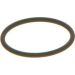 BOSCH Dichtring F 00V C38 002