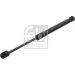 FEBI BILSTEIN 31670 Gasfeder, Koffer-/Laderaum