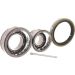 SKF Radlagersatz VKBA 1369