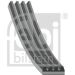 FEBI BILSTEIN 28811 Keilrippenriemen