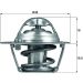 Thermostat, Kühlmittel TX 121 74D Thermostat, Kühlmittel TX 121 74D