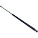 Maxgear Gasfeder, Koffer-/Laderaum 12-0077