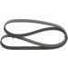 BOSCH Keilrippenriemen 1 987 946 280