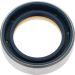Corteco Wellendichtring, Differential 12001890B
