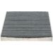BOSCH 1 987 432 543 Innenraumfilter Aktivkohlefilter, 252x235x32 mm