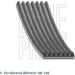 Blue Print Keilrippenriemen AD07R1036