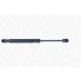 Gasfeder, Koffer-/Laderaum ML5341 Gasfeder, Koffer-/Laderaum ML5341