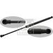 FEBI BILSTEIN 44001 Gasfeder, Koffer-/Laderaum