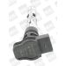 BorgWarner (BERU) Zündspule ZSE062