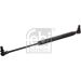 FEBI BILSTEIN 24844 Gasfeder, Koffer-/Laderaum