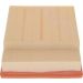 BOSCH F 026 400 437 Luftfilter