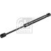 FEBI BILSTEIN 177353 Gasfeder, Motorhaube
