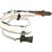 BOSCH Lambdasonde 0 258 010 165