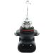 Glühlampe 1 987 301 062 Glühlampe 1 987 301 062