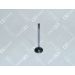 OE Germany Einlassventil 09 0520 ISC600 OE Germany Einlassventil 09 0520 ISC600