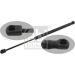 FEBI BILSTEIN 28036 Gasfeder, Koffer-/Laderaum