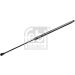 FEBI BILSTEIN 177464 Gasfeder, Koffer-/Laderaum