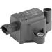 BorgWarner (BERU) Zündspule ZS439