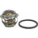 Metzger Thermostat, Kühlmittel 4006092