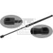 FEBI BILSTEIN 34506 Gasfeder, Koffer-/Laderaum