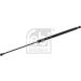 FEBI BILSTEIN 174982 Gasfeder, Koffer-/Laderaum