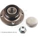 Blue Print Radlagersatz ADBP820008