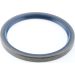 Dichtring 12001656B