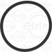Dichtring 789.970 Dichtring 789.970