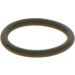 BOSCH Dichtring F 00R J01 452