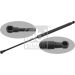 FEBI BILSTEIN 29428 Gasfeder, Koffer-/Laderaum