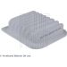 Blue Print Luftfilter ADD62228