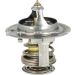 Thermostat, Kühlmittel 725251 Thermostat, Kühlmittel 725251