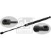 FEBI BILSTEIN 27736 Gasfeder, Koffer-/Laderaum