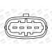BorgWarner (BERU) Zündspule ZSE055 BorgWarner (BERU) Zündspule ZSE055