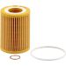 MANN-FILTER HU 7003 x Ölfilter mit Dichtung, Filtereinsatz