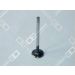 OE Germany Auslassventil 06 0520 XF9501 OE Germany Auslassventil 06 0520 XF9501