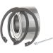 SKF Radlagersatz VKBA 3600