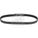 FEBI BILSTEIN 38435 Keilrippenriemen