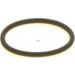 BOSCH Dichtring 1 410 257 042
