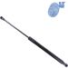 Blue Print Gasfeder, Koffer-/Laderaum ADT35820