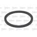 Valeo Kraftstofffilter 587916