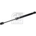 FEBI BILSTEIN 177354 Gasfeder, Motorhaube