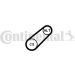 ContiTech Keilrippenriemen 6PK799 ELAST