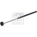 FEBI BILSTEIN 39703 Gasfeder, Motorhaube