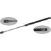 FEBI BILSTEIN 103840 Gasfeder, Koffer-/Laderaum