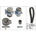 INA Wasserpumpe + Zahnriemensatz 530 0091 30