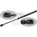 FEBI BILSTEIN 27776 Gasfeder, Koffer-/Laderaum