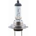 Glühlampe, Fernscheinwerfer V99-84-0002 Glühlampe, Fernscheinwerfer V99-84-0002